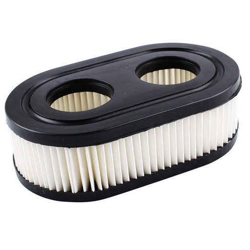 Briggs Air Filter 550E-550Ex Briggs & Stratton