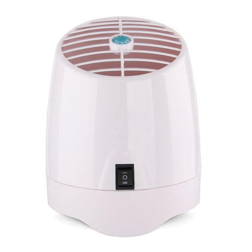 Anion air purifier