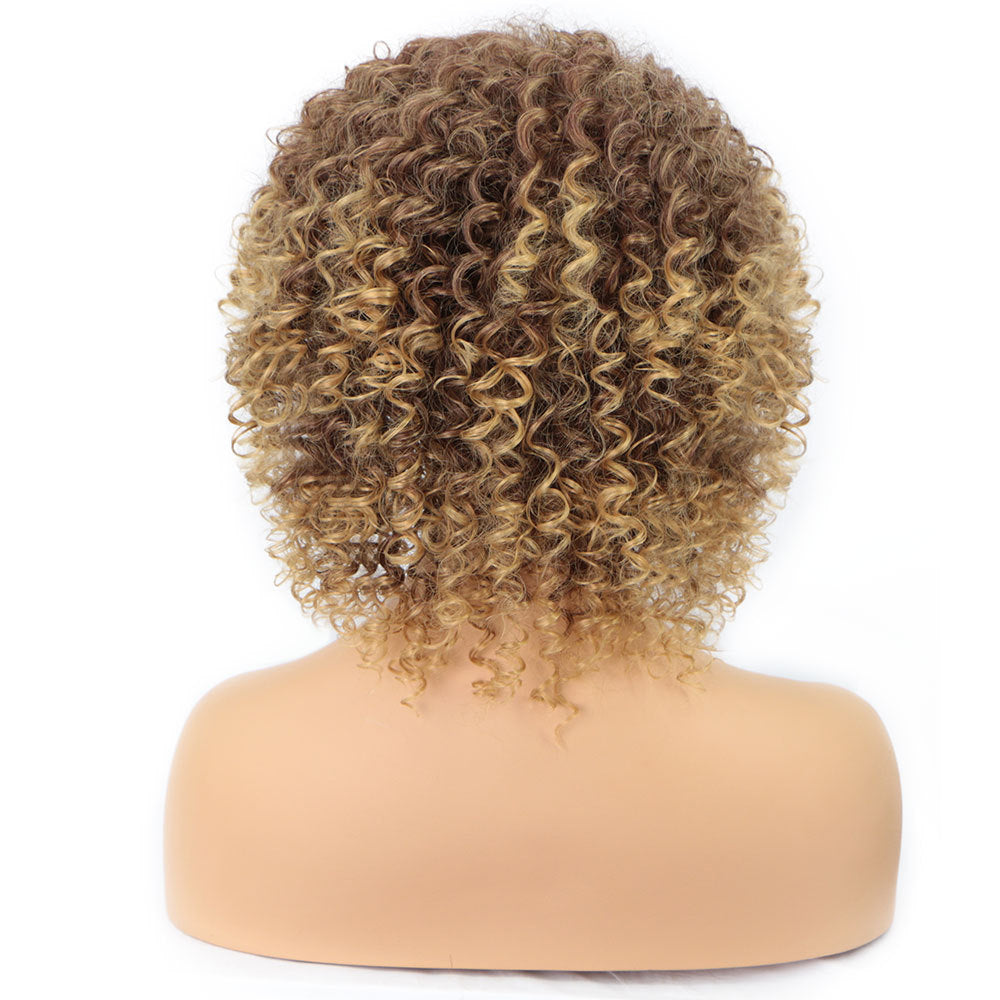 Cross-Border Wigs European And American Fashion African Small Curly Ladies Wigs Headgear Wig African Explosive Head