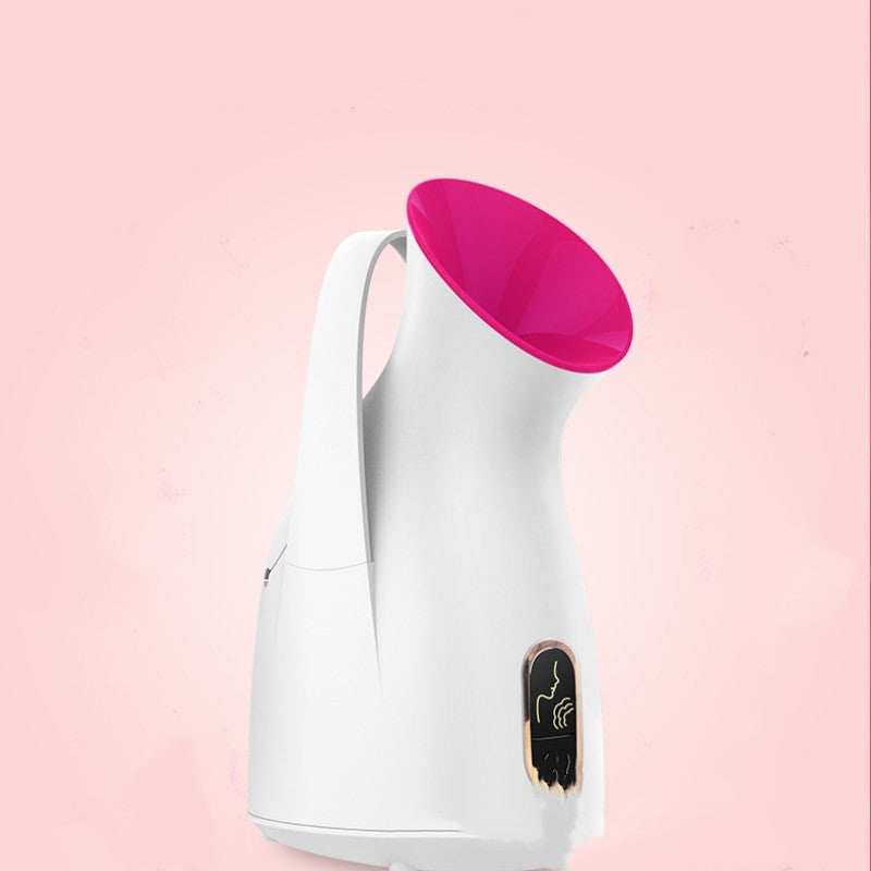 Household Nano Spray Face Steamer