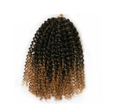 African wig short curly hair