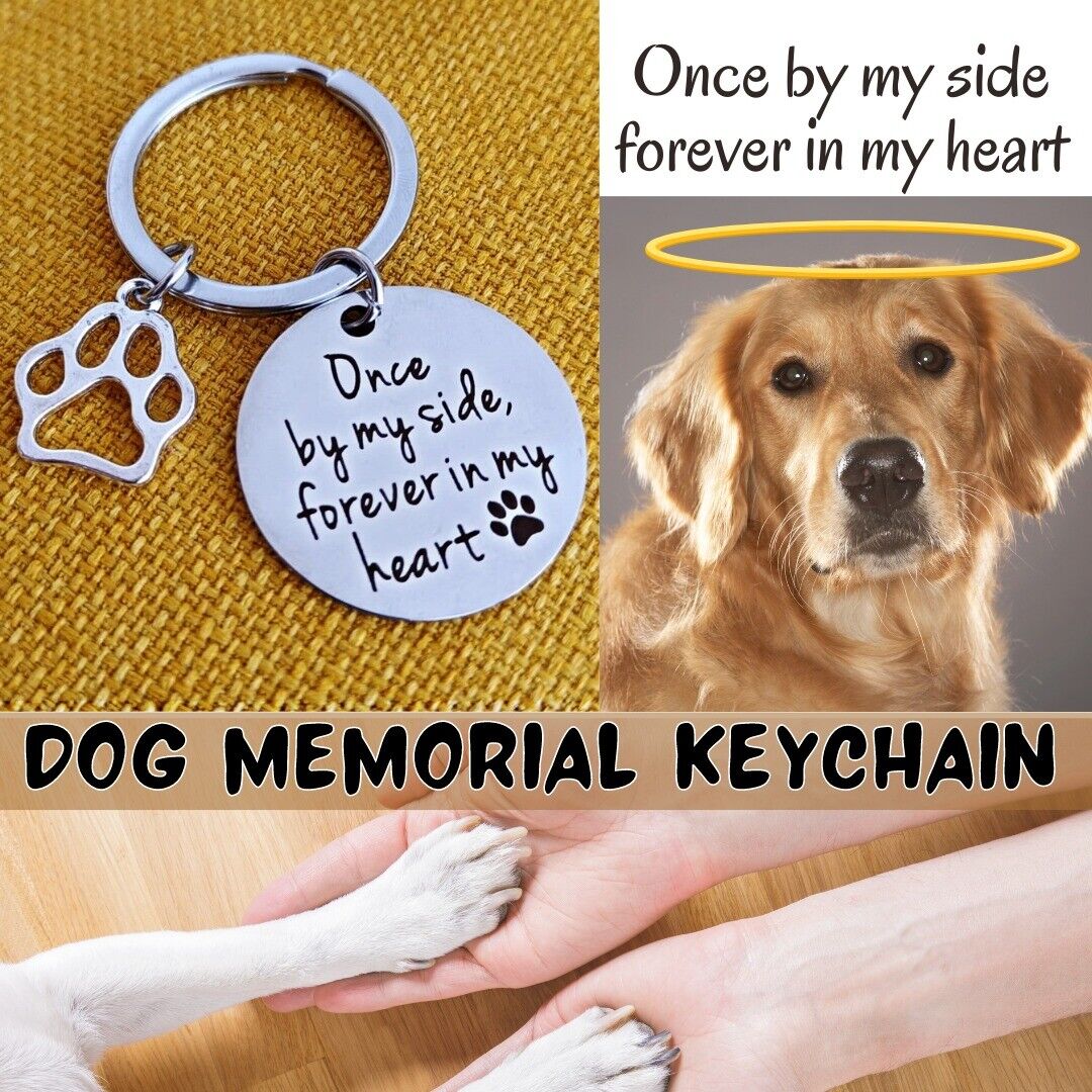 Loss Of Pet Memorial Keychain Dog Cat Remembrance Jewelry Sympathy Key Ring Tag