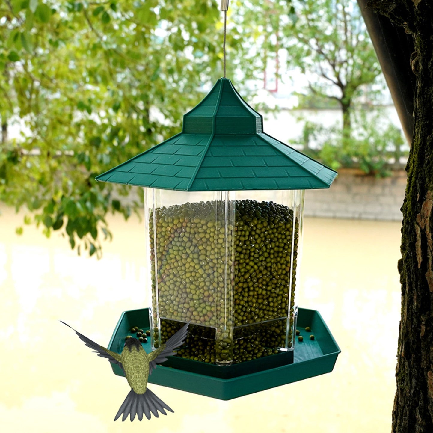 Pavilion Clear Glass Window Viewing Bird Feed Hotel Table Seed-Peanut Hanging