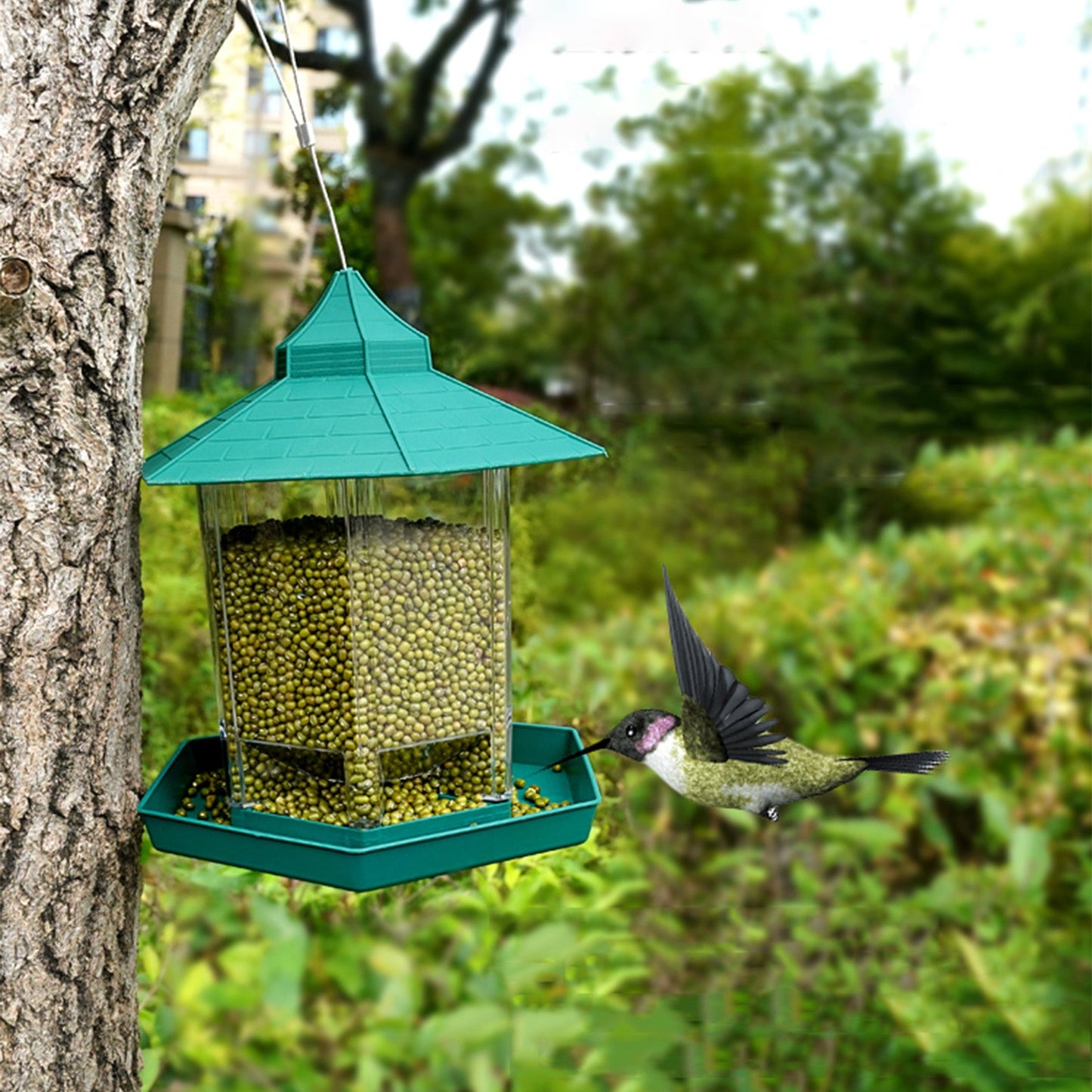 Pavilion Clear Glass Window Viewing Bird Feed Hotel Table Seed-Peanut Hanging