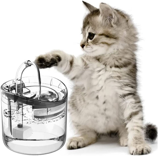 Cat Water Dispenser Animal Water Dispenser 61OZ Automatic Pet Water Dispenser, For Kittens