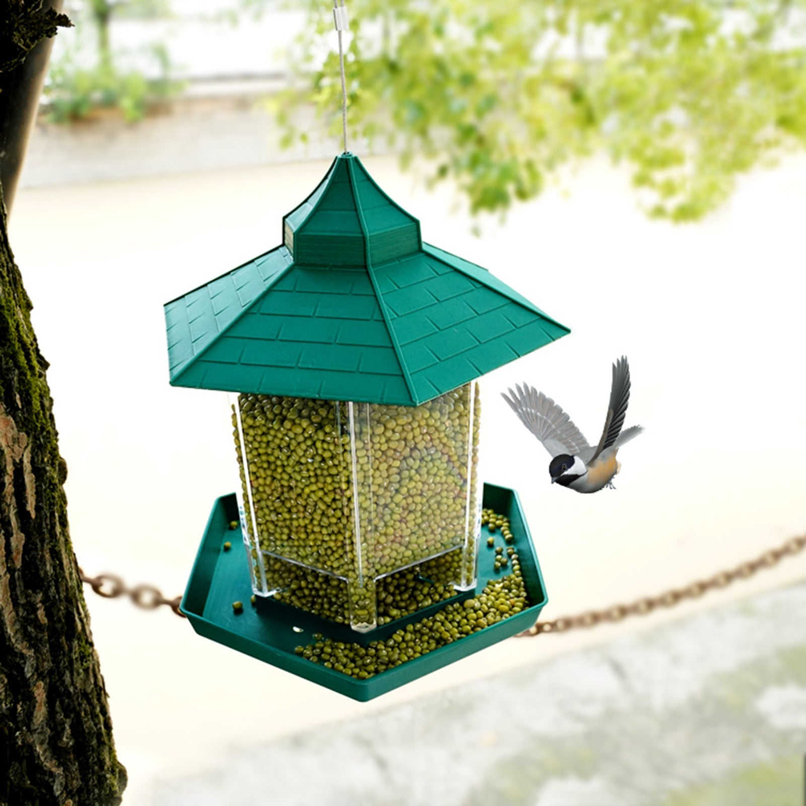 Pavilion Clear Glass Window Viewing Bird Feed Hotel Table Seed-Peanut Hanging